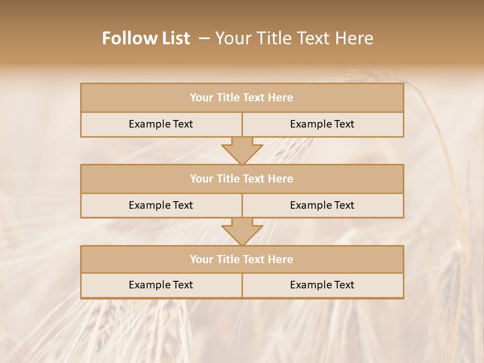 Barley PowerPoint Template