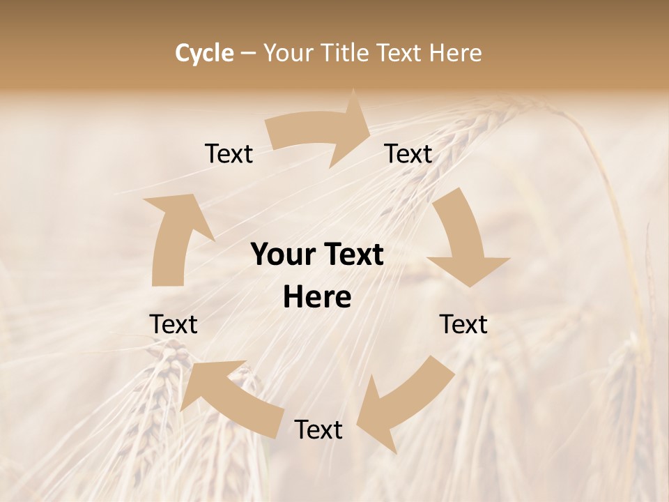 Barley PowerPoint Template
