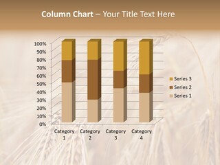 Barley PowerPoint Template