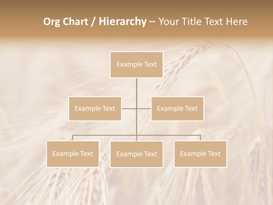 Barley PowerPoint Template