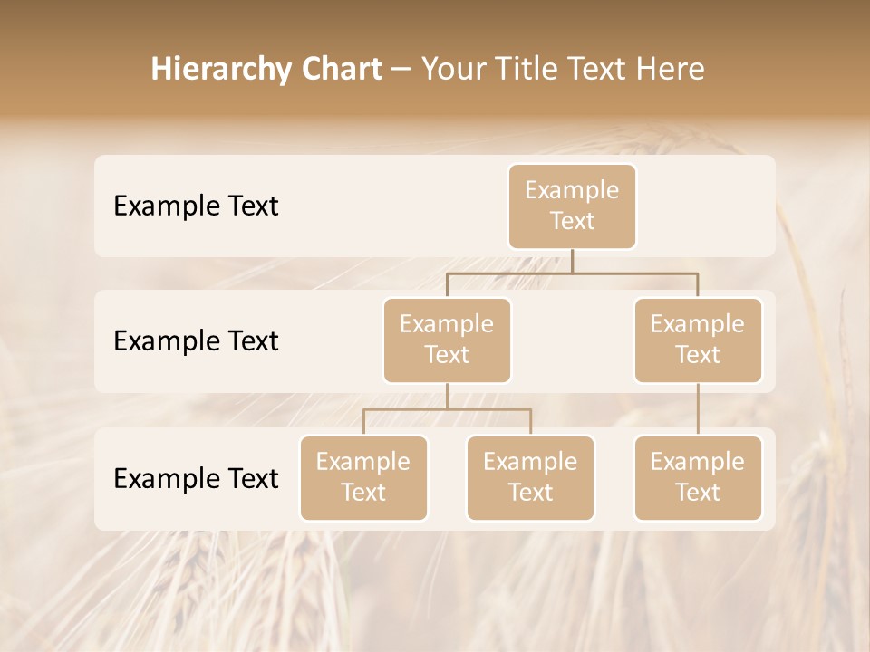 Barley PowerPoint Template