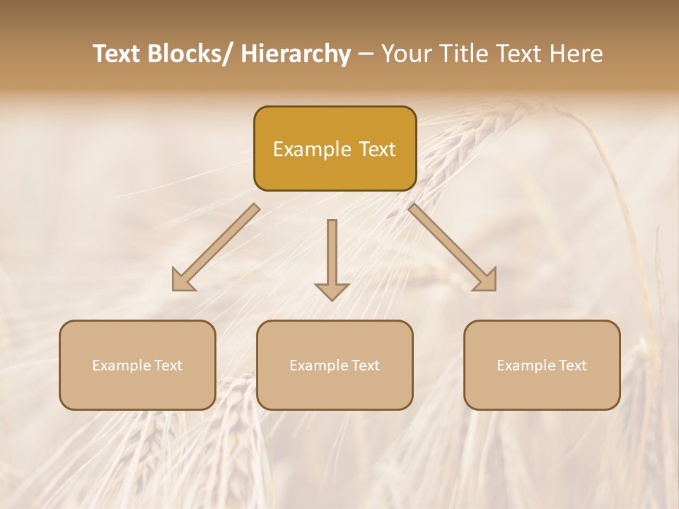Barley PowerPoint Template