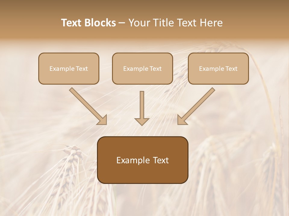 Barley PowerPoint Template