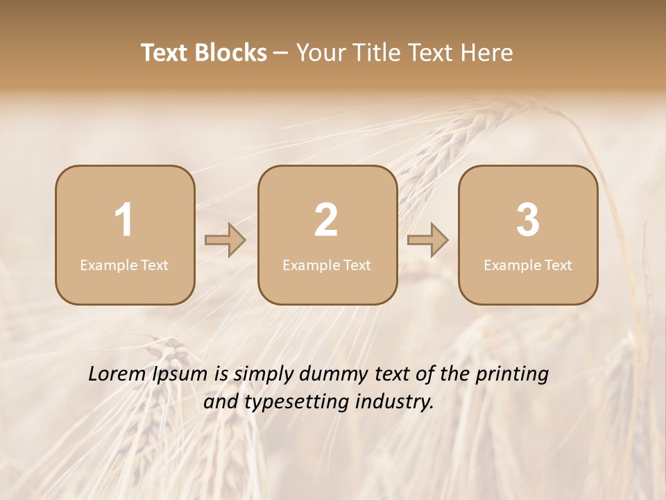 Barley PowerPoint Template