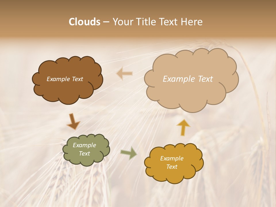 Barley PowerPoint Template