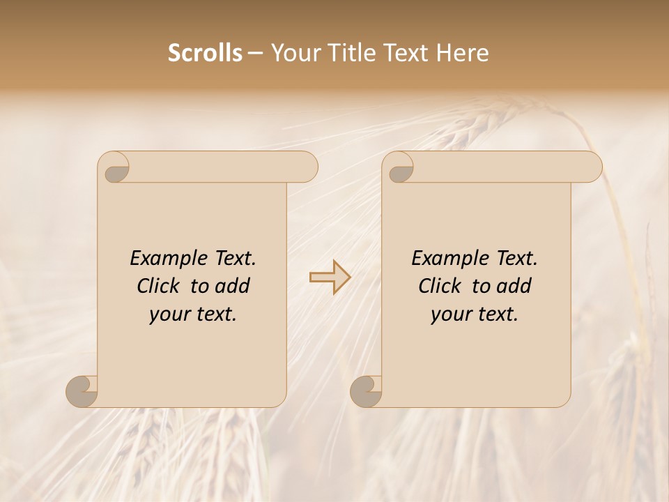 Barley PowerPoint Template