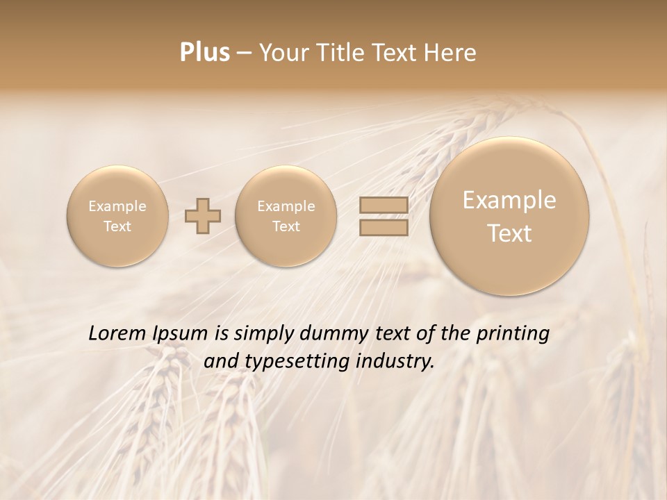 Barley PowerPoint Template