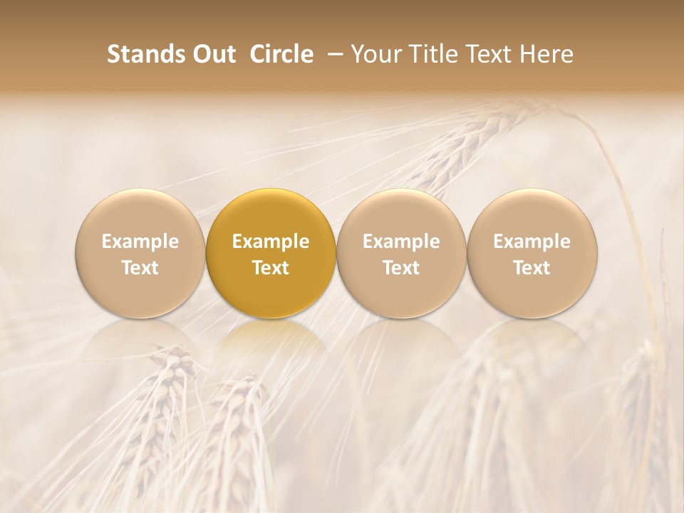 Barley PowerPoint Template