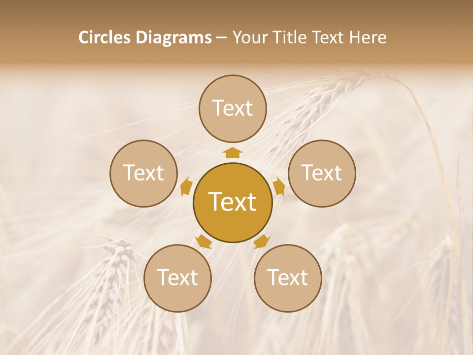 Barley PowerPoint Template