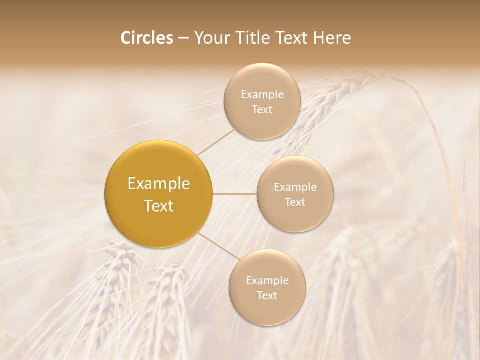 Barley PowerPoint Template