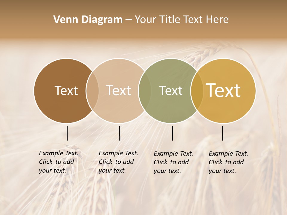 Barley PowerPoint Template
