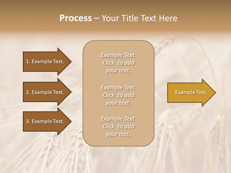 Barley PowerPoint Template