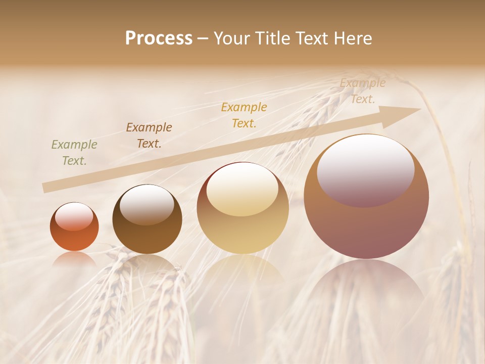 Barley PowerPoint Template