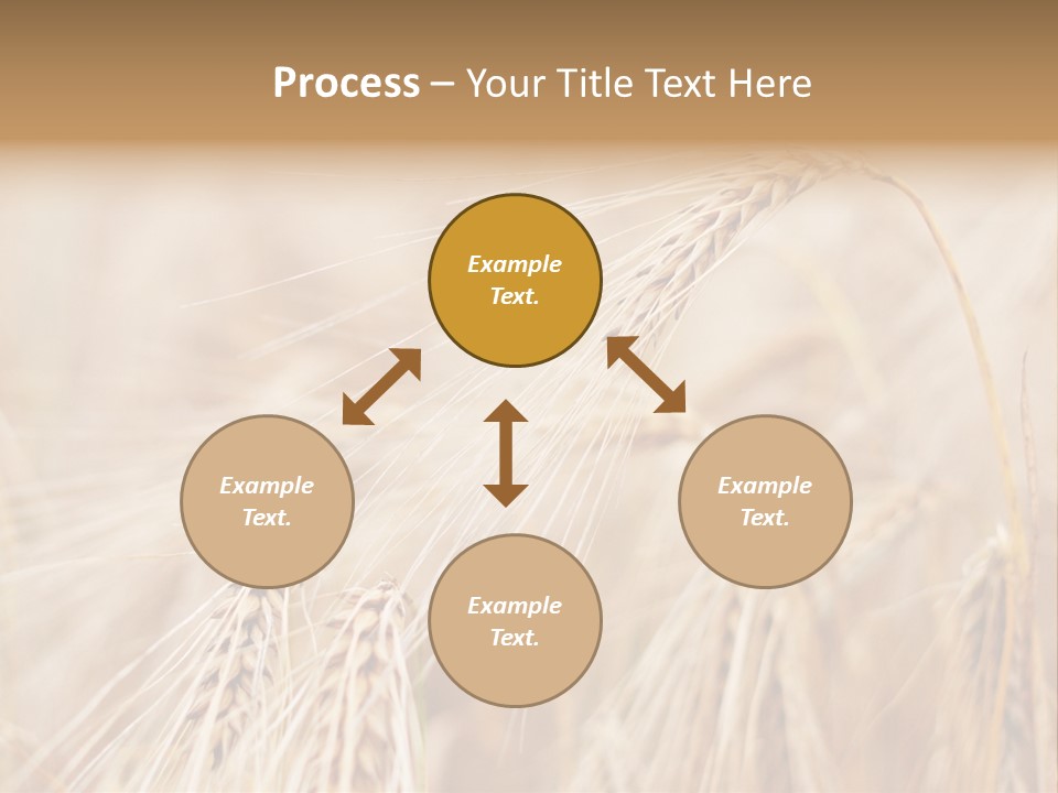 Barley PowerPoint Template
