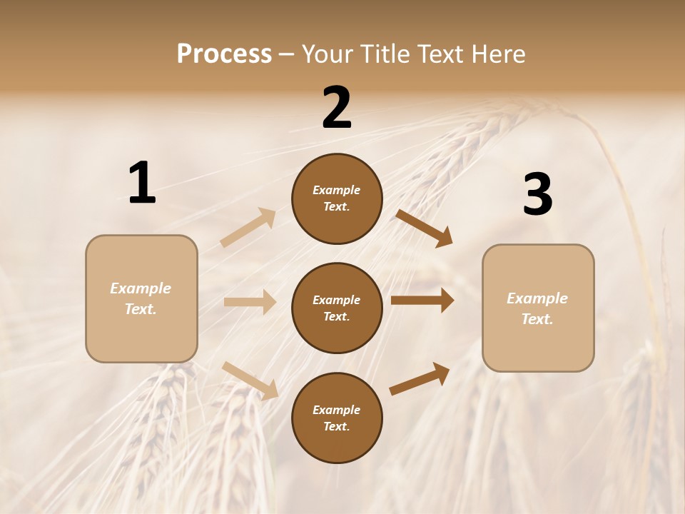 Barley PowerPoint Template
