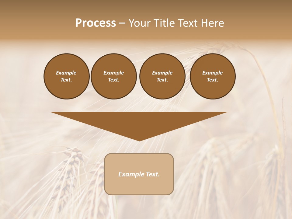 Barley PowerPoint Template