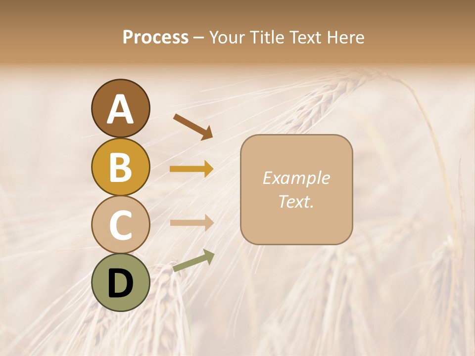 Barley PowerPoint Template