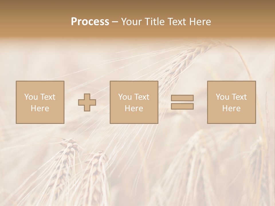 Barley PowerPoint Template