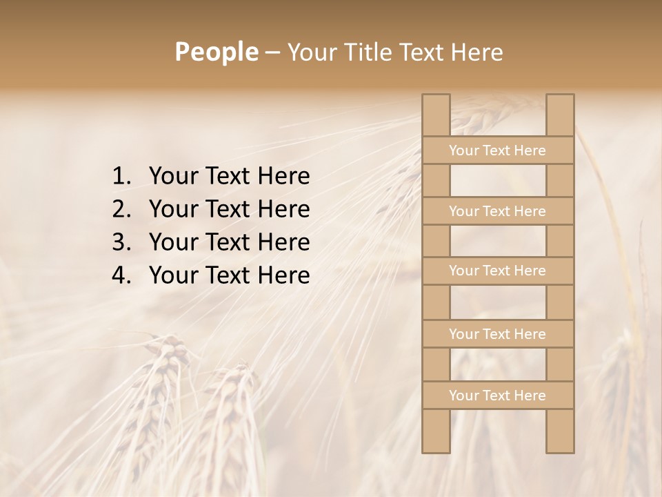 Barley PowerPoint Template
