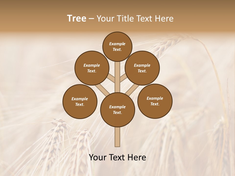 Barley PowerPoint Template