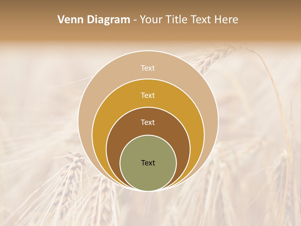 Barley PowerPoint Template