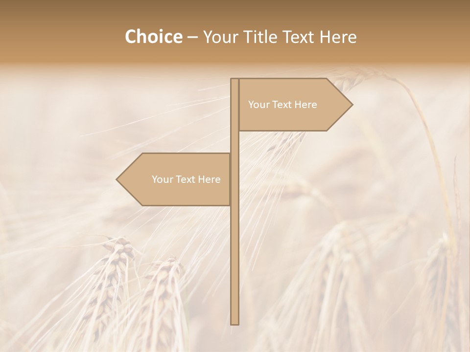 Barley PowerPoint Template