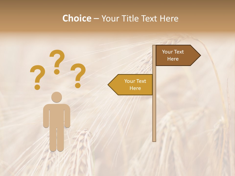 Barley PowerPoint Template