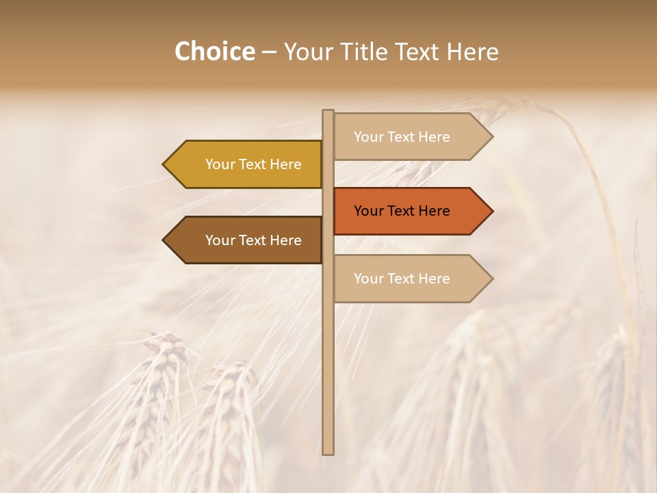 Barley PowerPoint Template