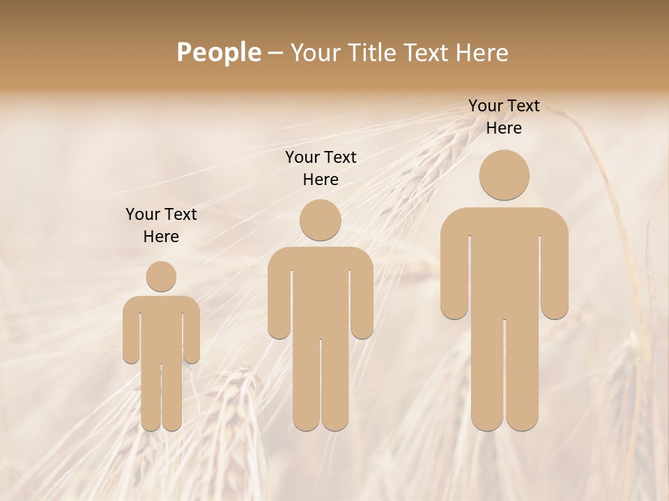 Barley PowerPoint Template