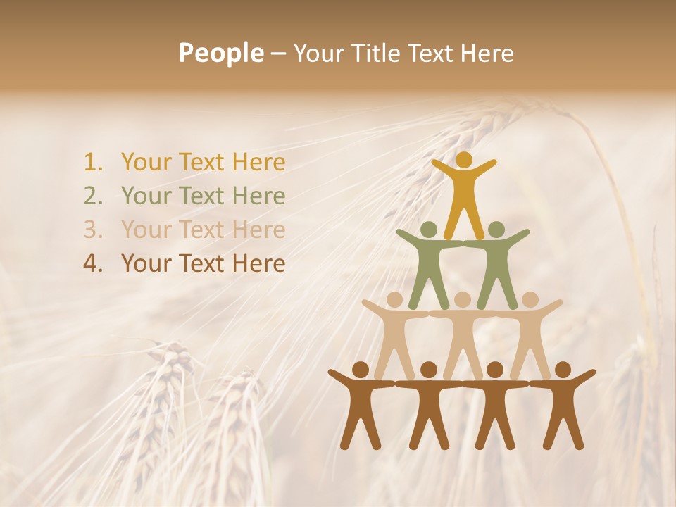 Barley PowerPoint Template
