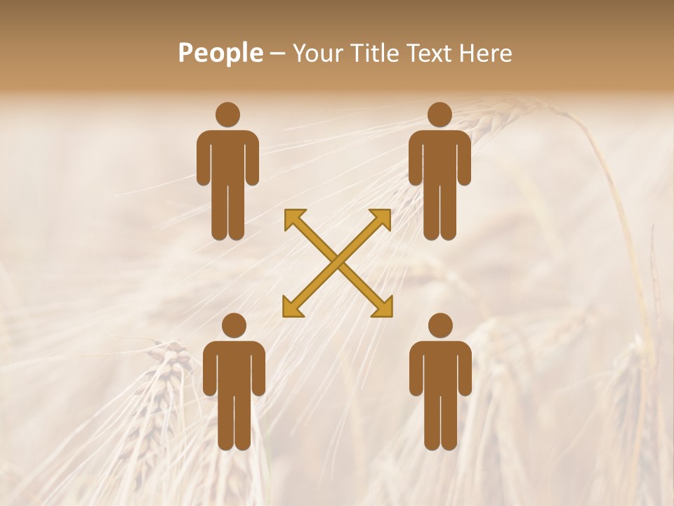 Barley PowerPoint Template