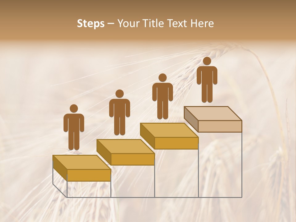 Barley PowerPoint Template