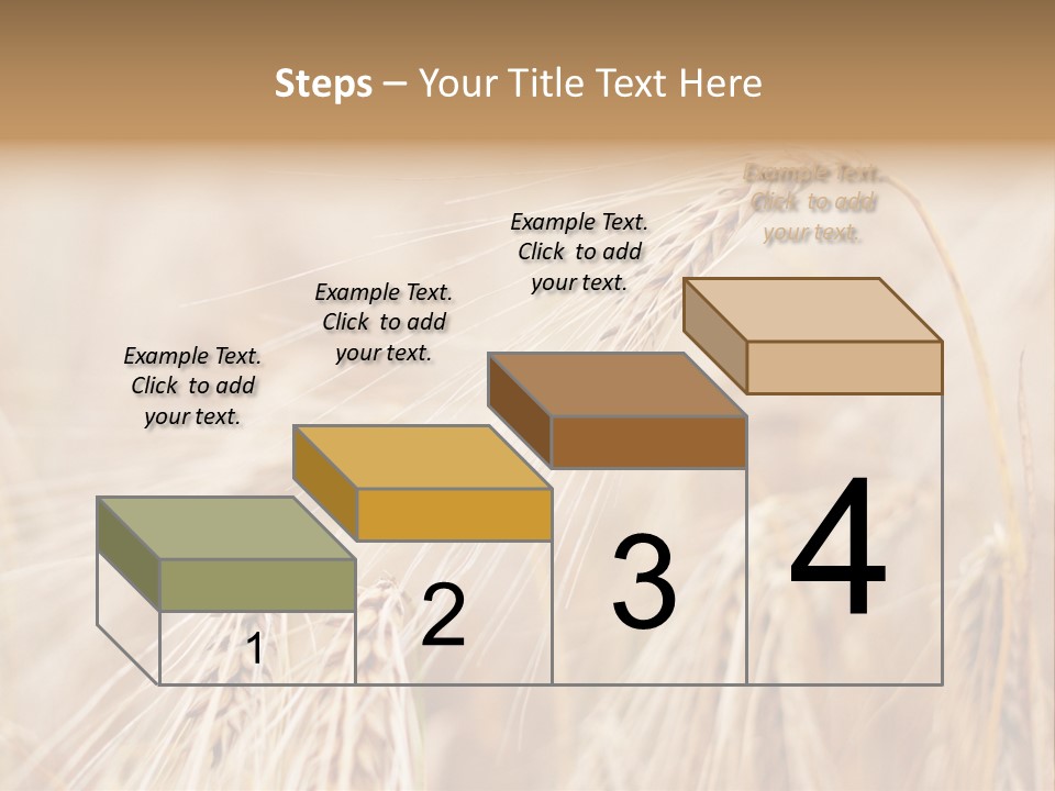 Barley PowerPoint Template