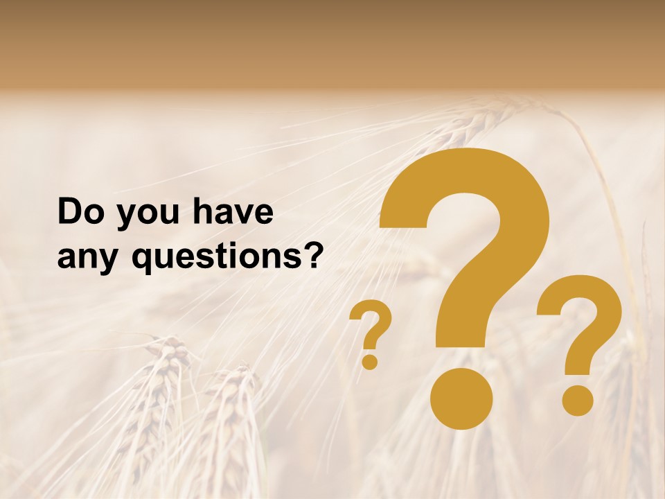 Barley PowerPoint Template