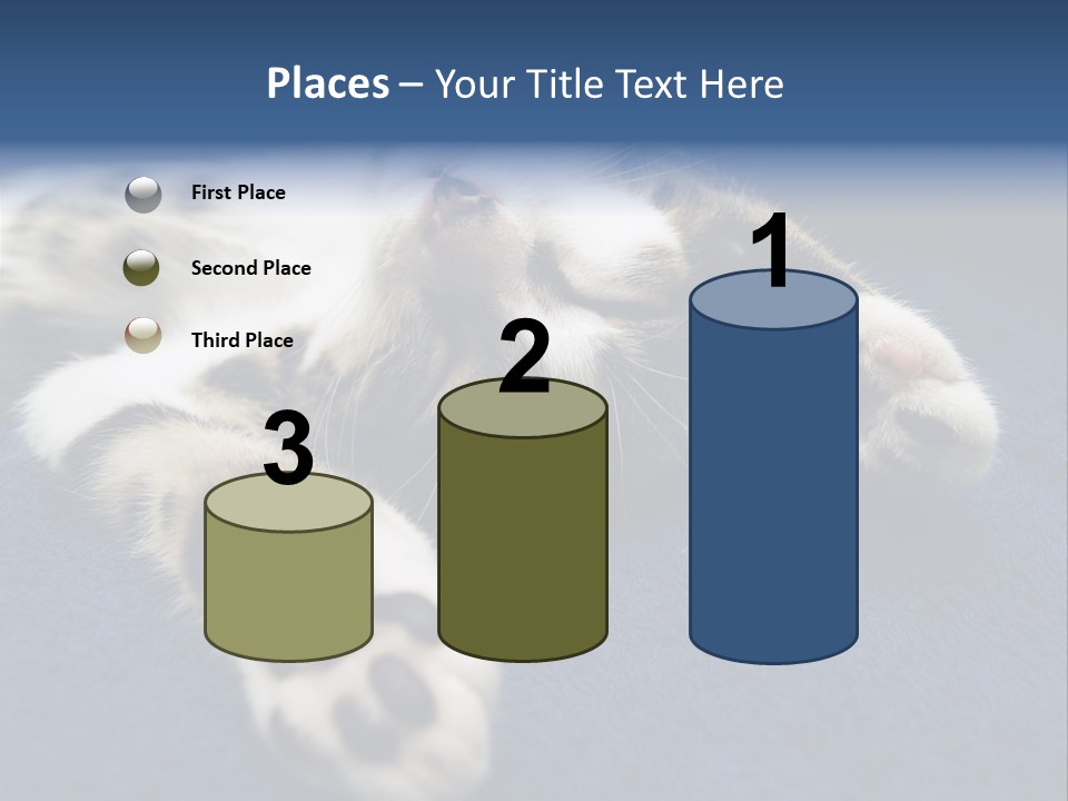 Little Cat PowerPoint Template