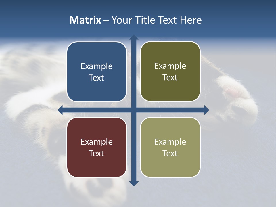 Little Cat PowerPoint Template