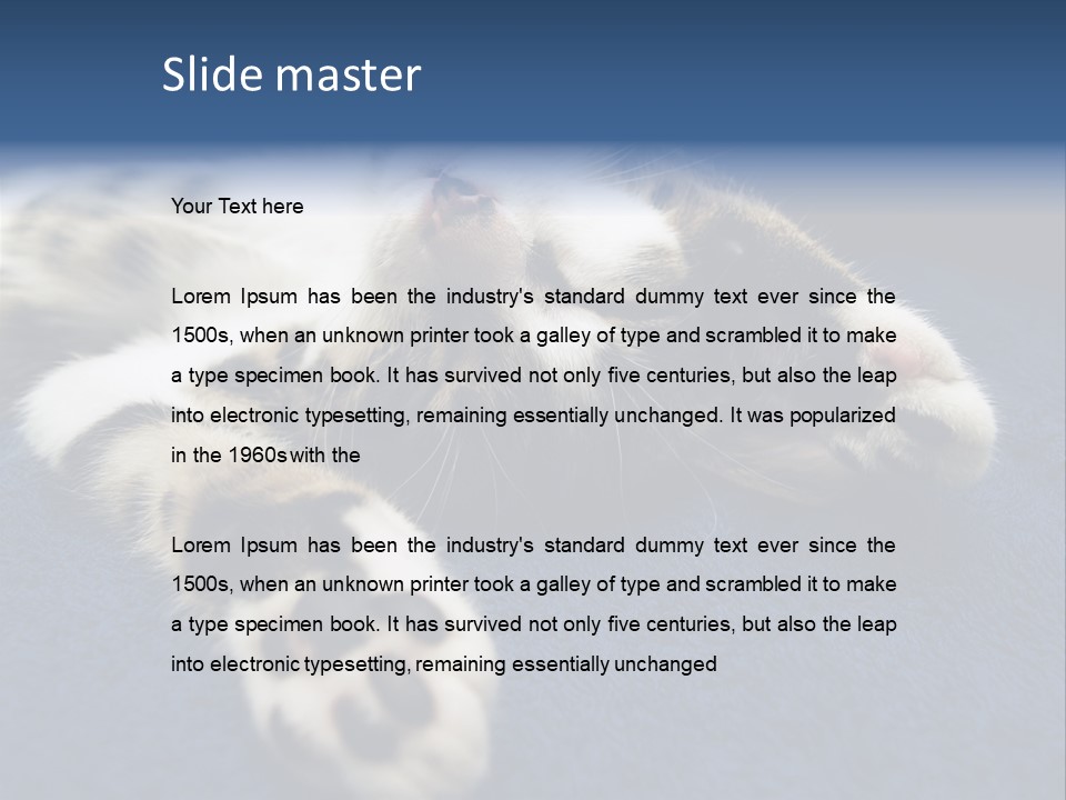 Little Cat PowerPoint Template