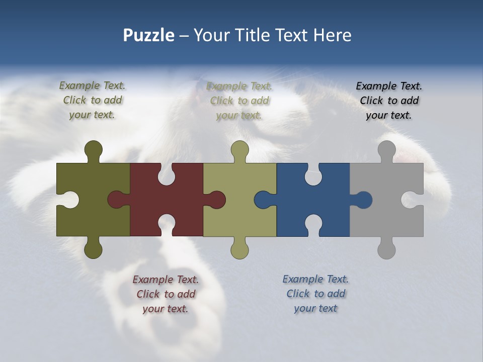 Little Cat PowerPoint Template