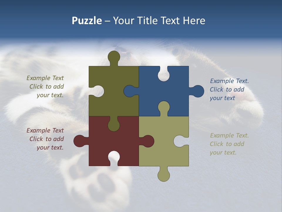 Little Cat PowerPoint Template