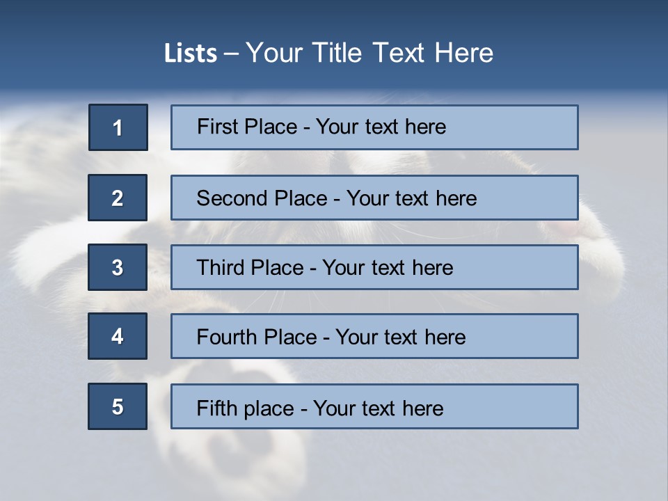 Little Cat PowerPoint Template