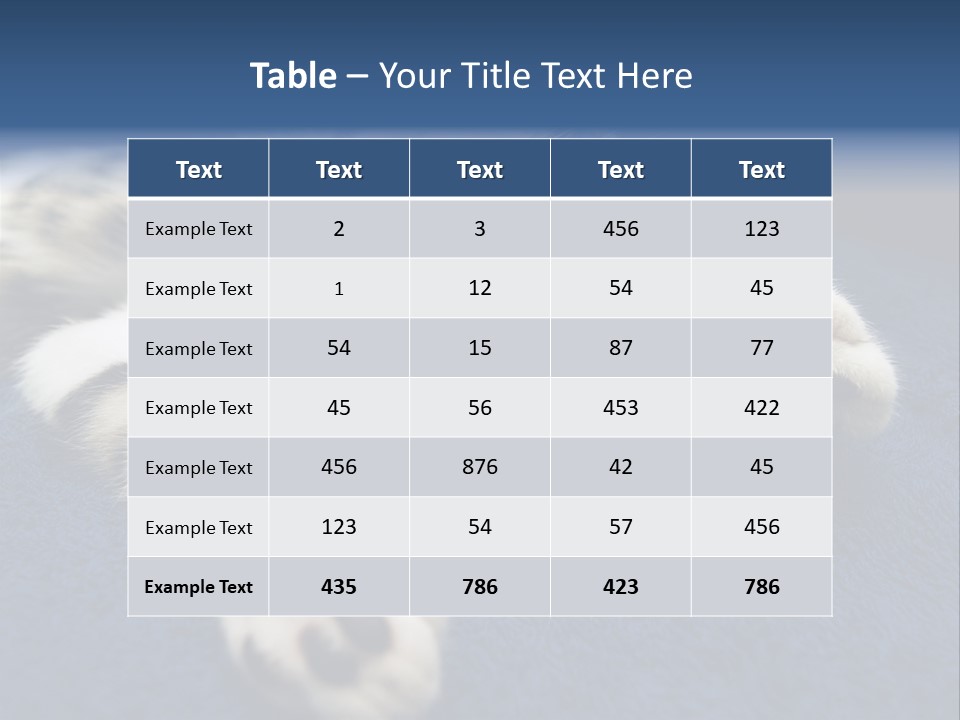 Little Cat PowerPoint Template