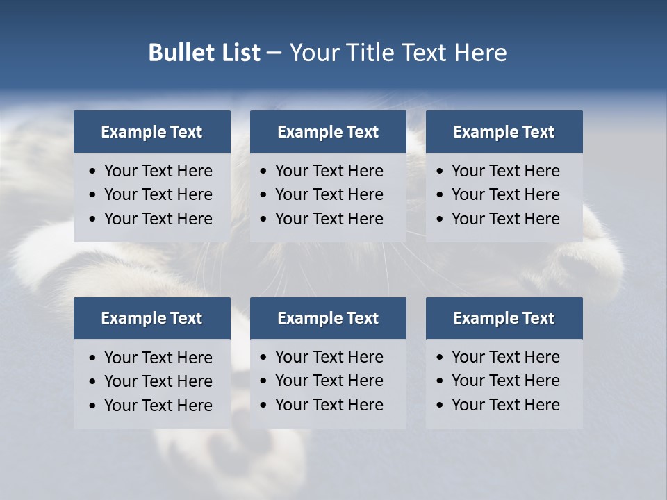 Little Cat PowerPoint Template