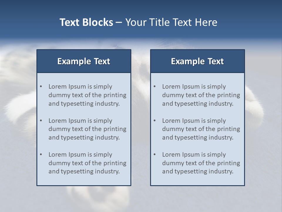Little Cat PowerPoint Template