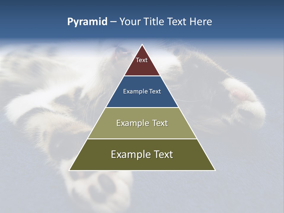 Little Cat PowerPoint Template