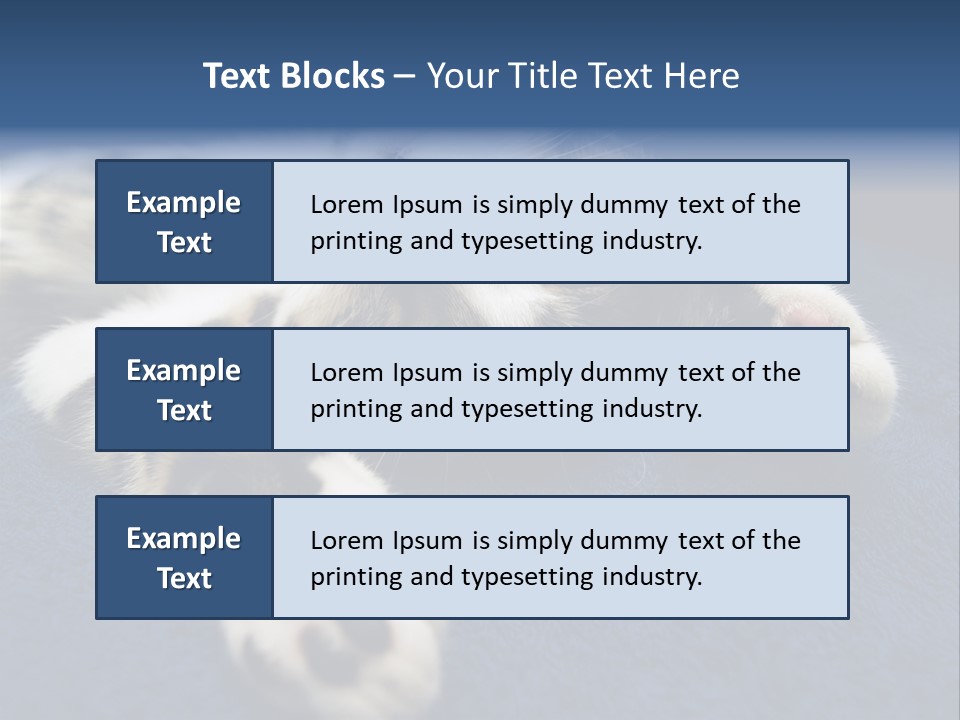 Little Cat PowerPoint Template