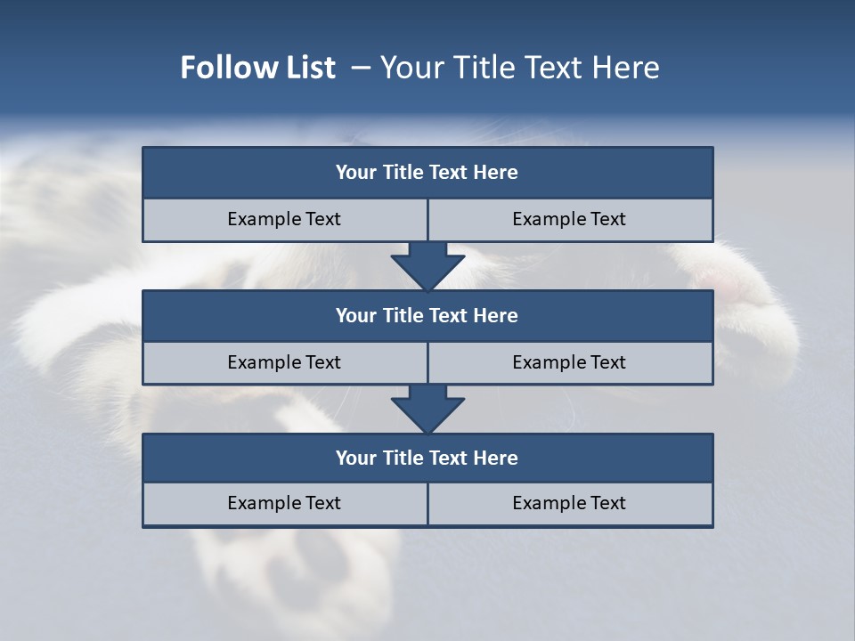 Little Cat PowerPoint Template
