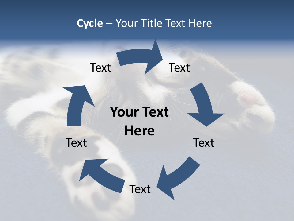 Little Cat PowerPoint Template