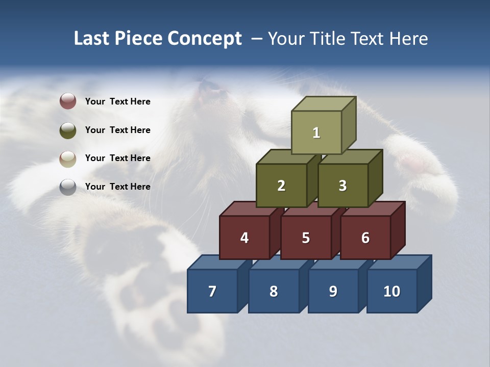Little Cat PowerPoint Template