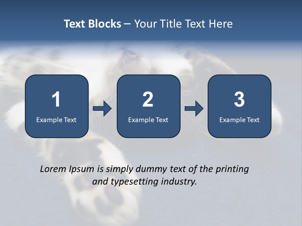 Little Cat PowerPoint Template