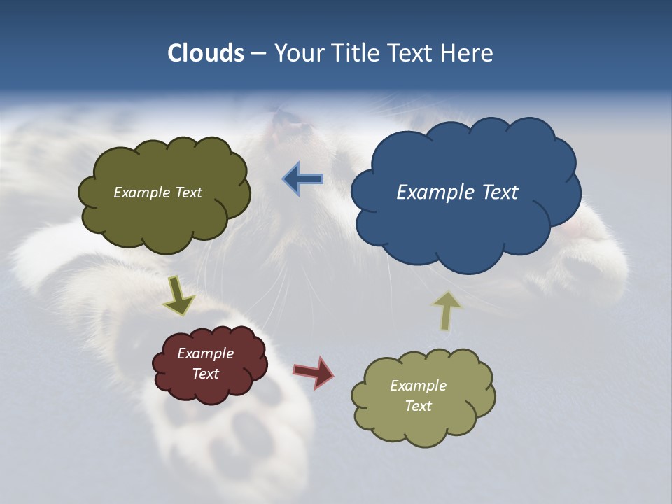 Little Cat PowerPoint Template